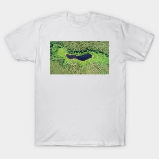 Aerial view of lake hidden in pine forest T-Shirt